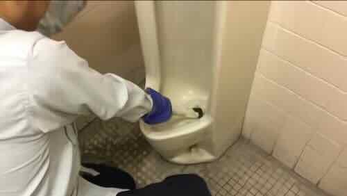 男性トイレ清掃